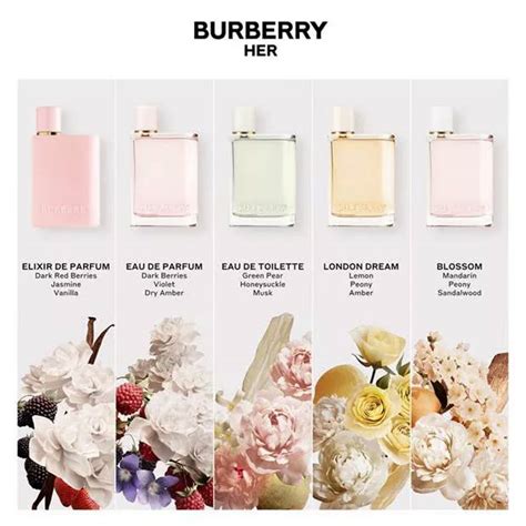 burberry perfume age range